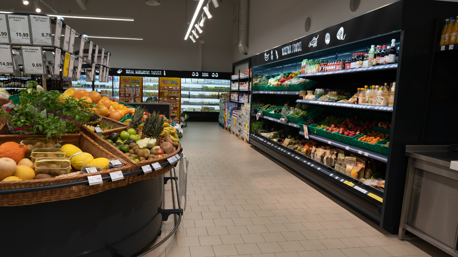 High-Performance Blast Freezer for rapid freezing